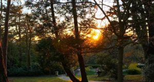 Reed Hall Arboretum. Credit Vikki Price