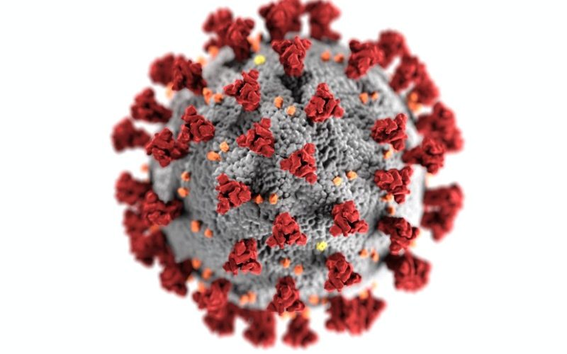 coronavirus