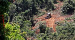A digger in a logging gap in the Bornean rainforest. Credit Zoe G Davies Resized