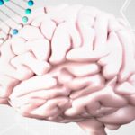 Exeter-Hong Kong collaboration opens doors to brain science research