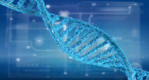 A DNA strand