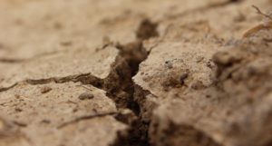 Soil Erosion