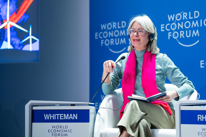 Gail Whiteman at World Economic Forum