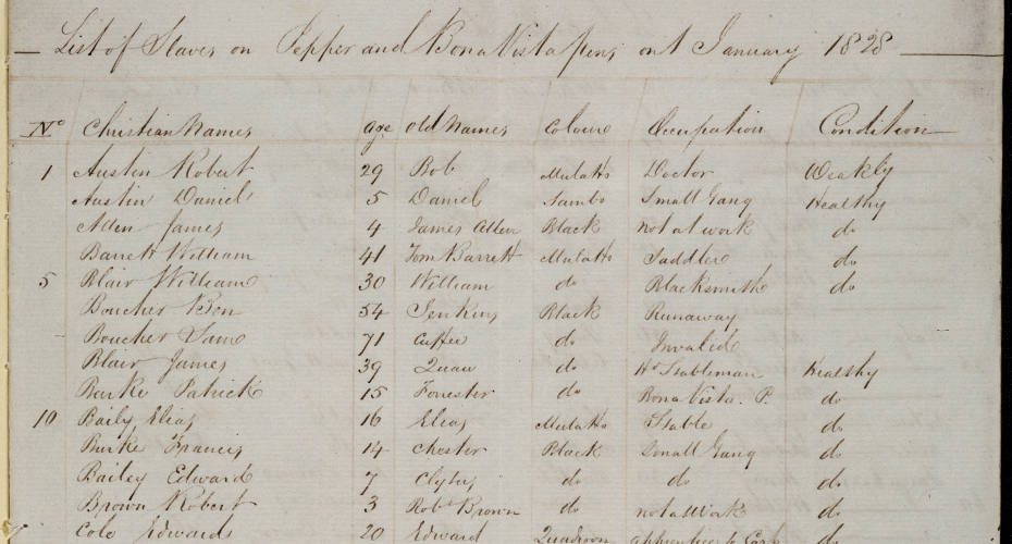 Extract from a list of enslaved people held at the Dickinson family estates in Jamaica.
South West Heritage Trust DD/DN/6/13