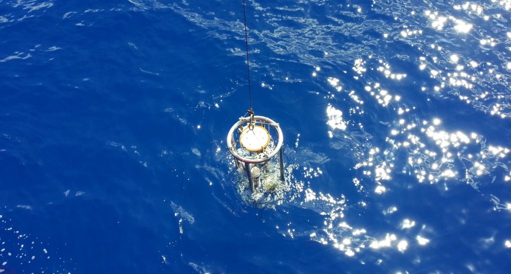 A Secchi disk being lowered into the sea on a rope