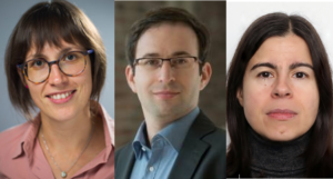Royal Academy Fellowships