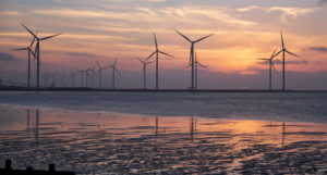 wind farm