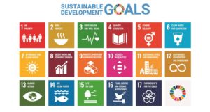 A graphic showing the Sustainable Development Goals