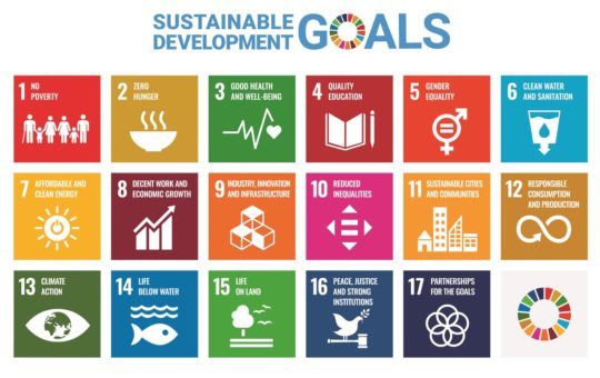 A graphic showing the Sustainable Development Goals
