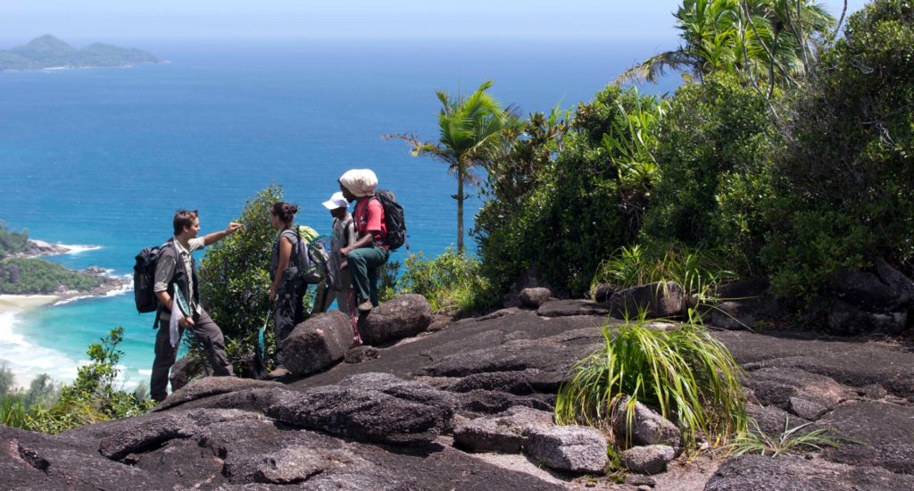 Conservation researchers standing on a cliff overlooking the sea