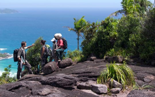 Conservation researchers standing on a cliff overlooking the sea