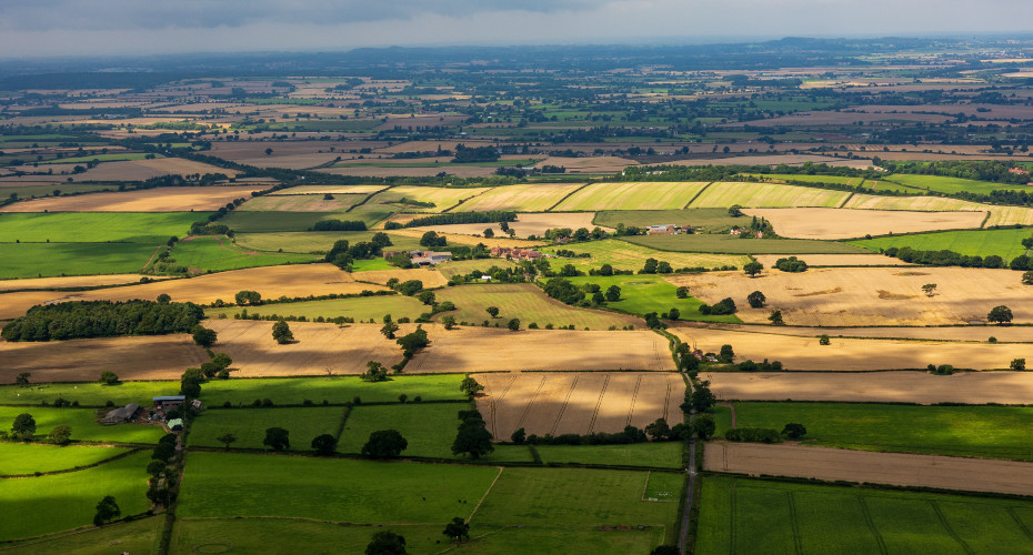 farming