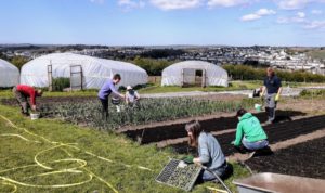 Agricultural workers at the Camel Community Supported Agriculture in Wadebridge, Cornwall