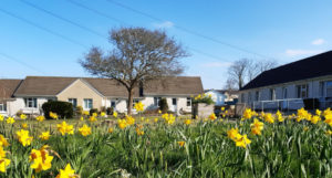 Smartline general images - housing (2)