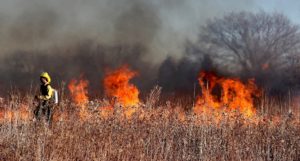 A firefighter walking, with a wildfire visible in the background