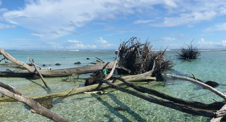 climate change impacts on Turtle Island communities