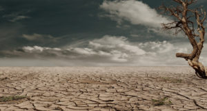 climate change