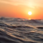 More research ‘urgently needed’ before ocean carbon capture technology can be scaled up