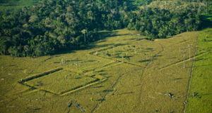 Earthwork on Amazonian landscape2