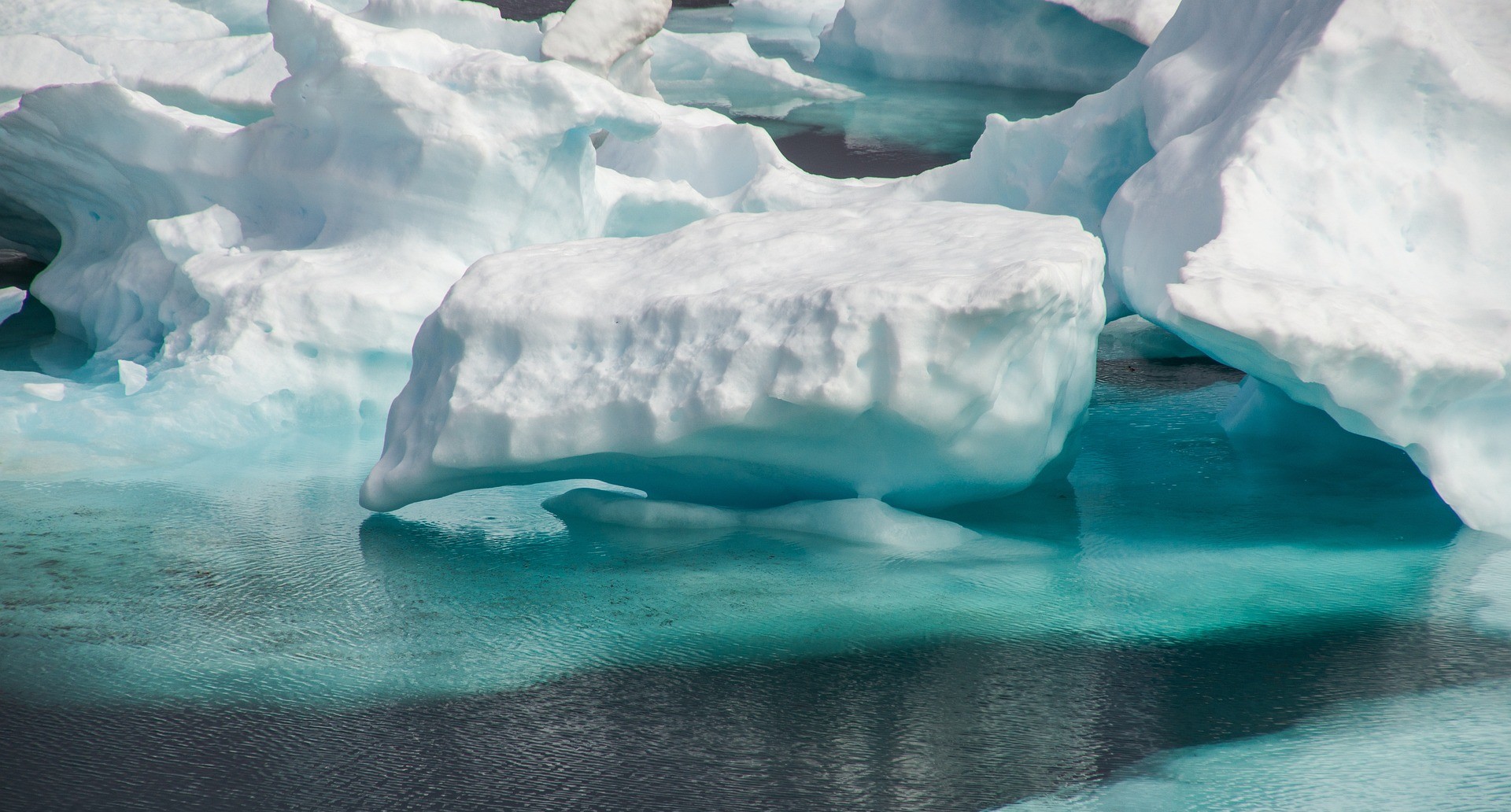 Microplastics Found in the Artic Could Be Due to Ice Melt and Increasing  Tourism