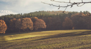 pexels-markus-spiske-243596