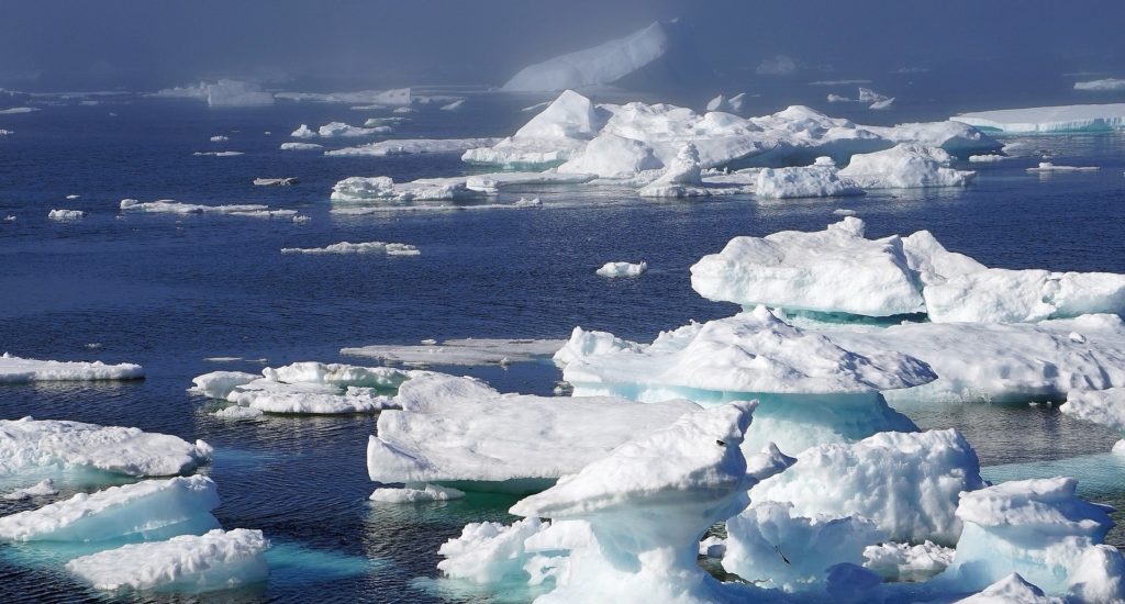 Scattered pieces of sea ice