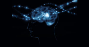 Brain stylised shutterstock_98072966