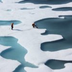 Temporary slowdown in melting of Arctic sea ice, study finds