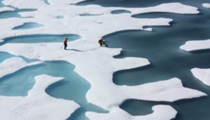 Arctic sea ice