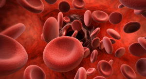 blood cells shutterstock_517874557