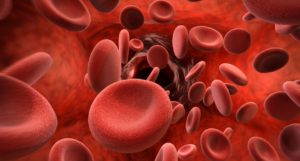 blood cells shutterstock_517874557 newww