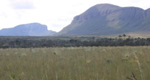 A large area of savanna with mountains visible in the background