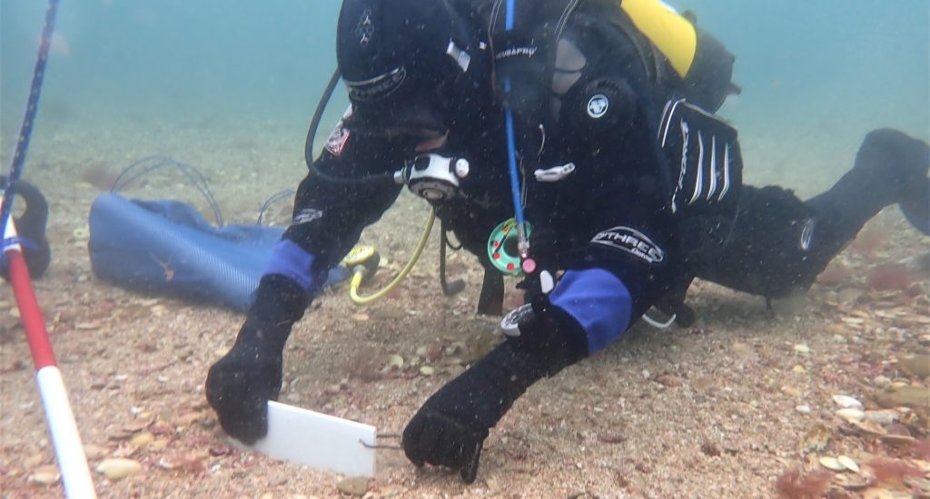 A diver taking a seabed sample
