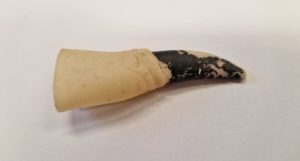 A rubber witch's finger