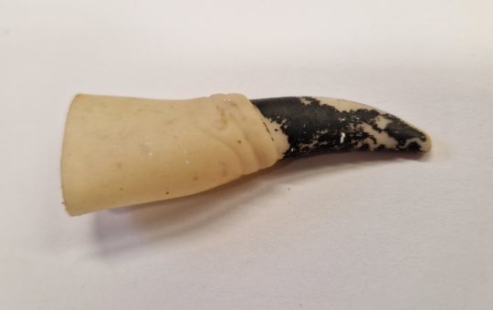 A rubber witch's finger