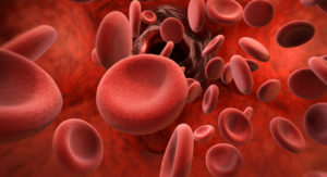 blood cells shutterstock_517874557