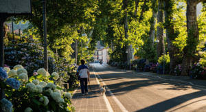 street-7281553_1280