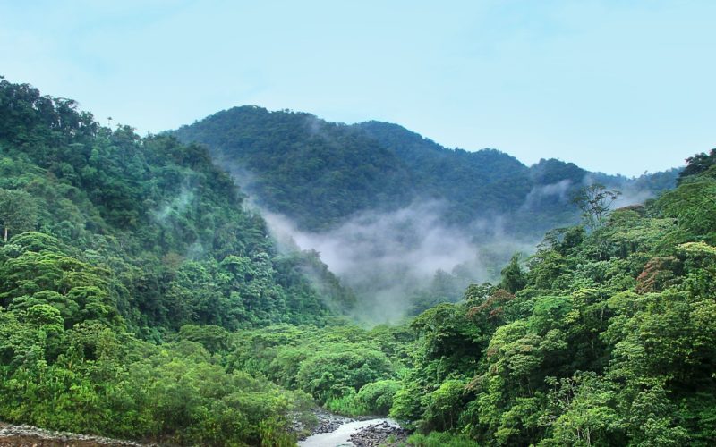 A mountainous jungle area