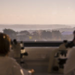 University of Exeter researchers working to assess the reasoning power of AI scientists