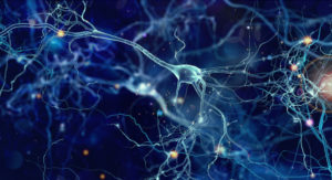 MS neurones shutterstock_576832348