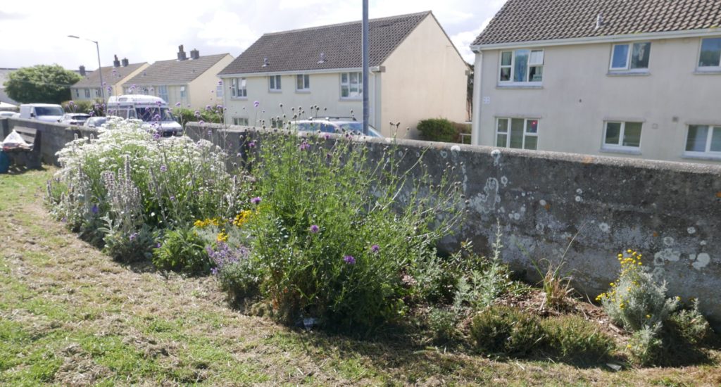 Flowering plants in a border beside a wall in a public park