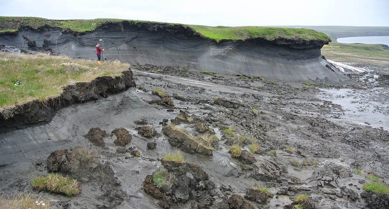 A person standing in a partially subsided landscape of mud (melted permafrost)