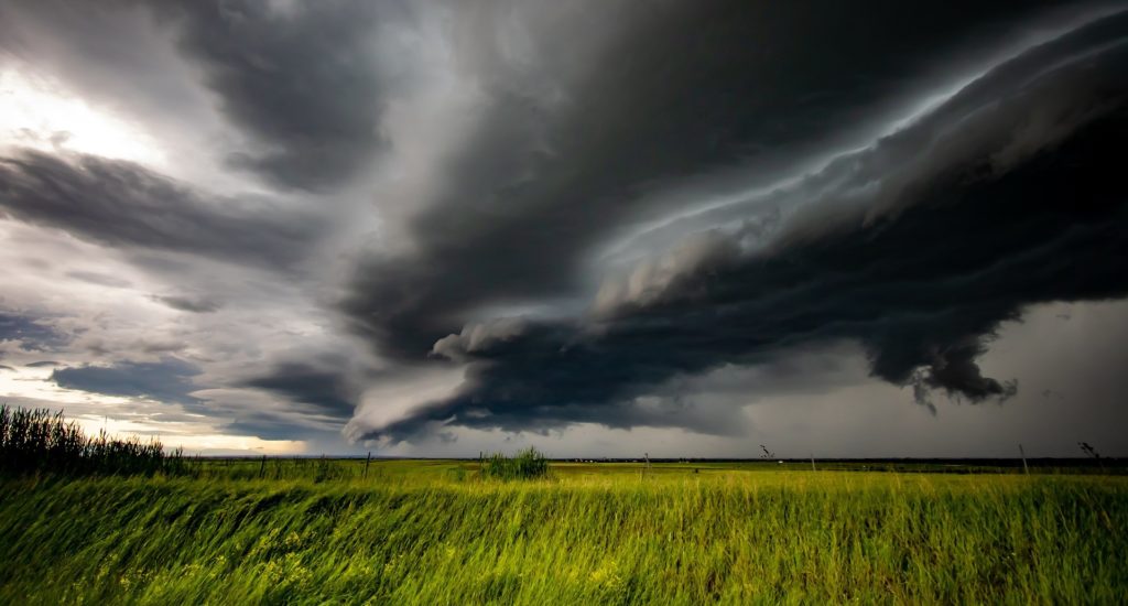 Storm clouds over a crop field