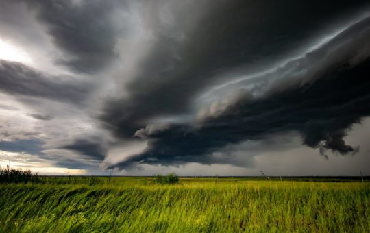 Storm clouds over a crop field