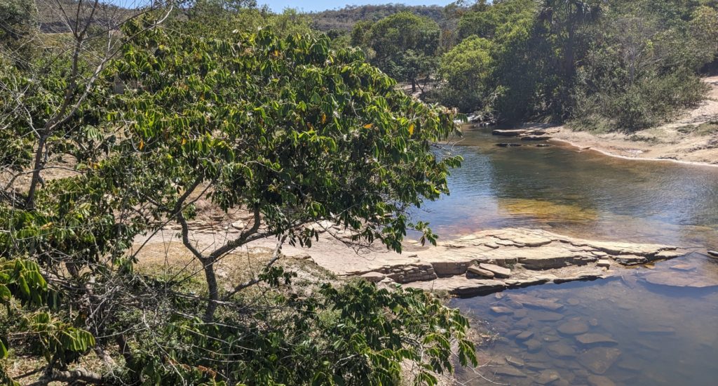 A river in a dry region, with a few trees growing on the banks