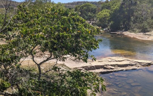 A river in a dry region, with a few trees growing on the banks