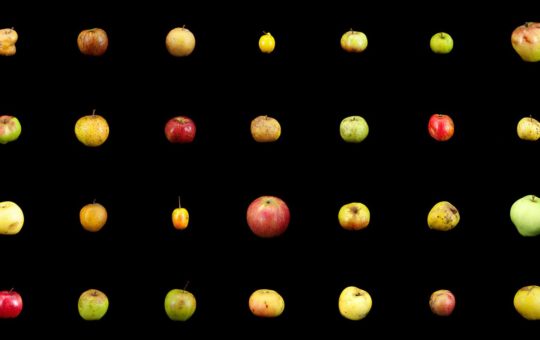 Multiple images of apples set on a black background