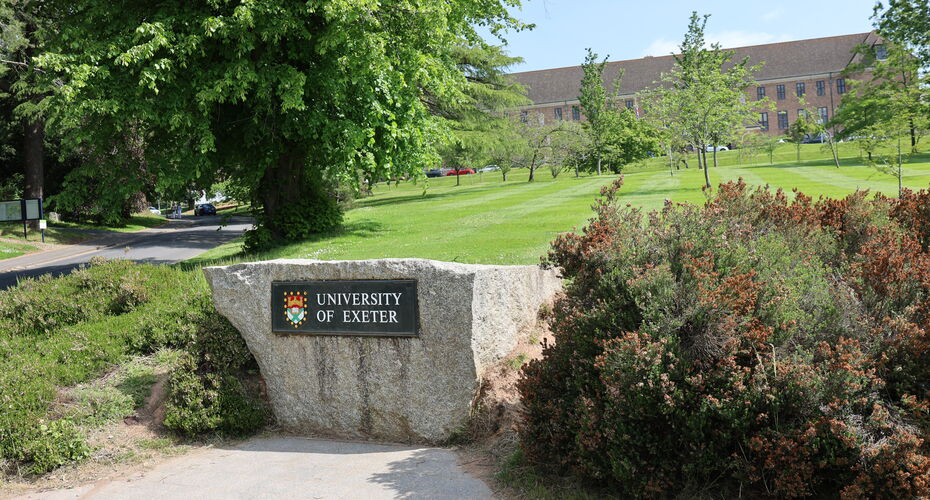 Three Exeter experts on REF 2029 panels