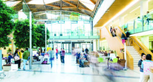 The Forum at the University of Exeter - a large indoor space with high windows and an arching roof