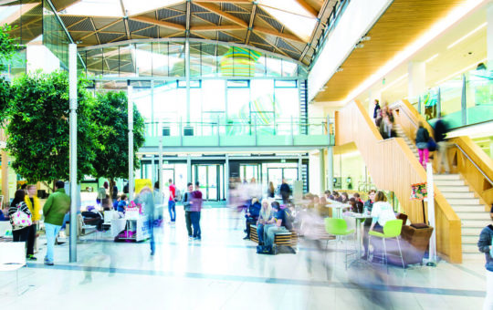 The Forum at the University of Exeter - a large indoor space with high windows and an arching roof